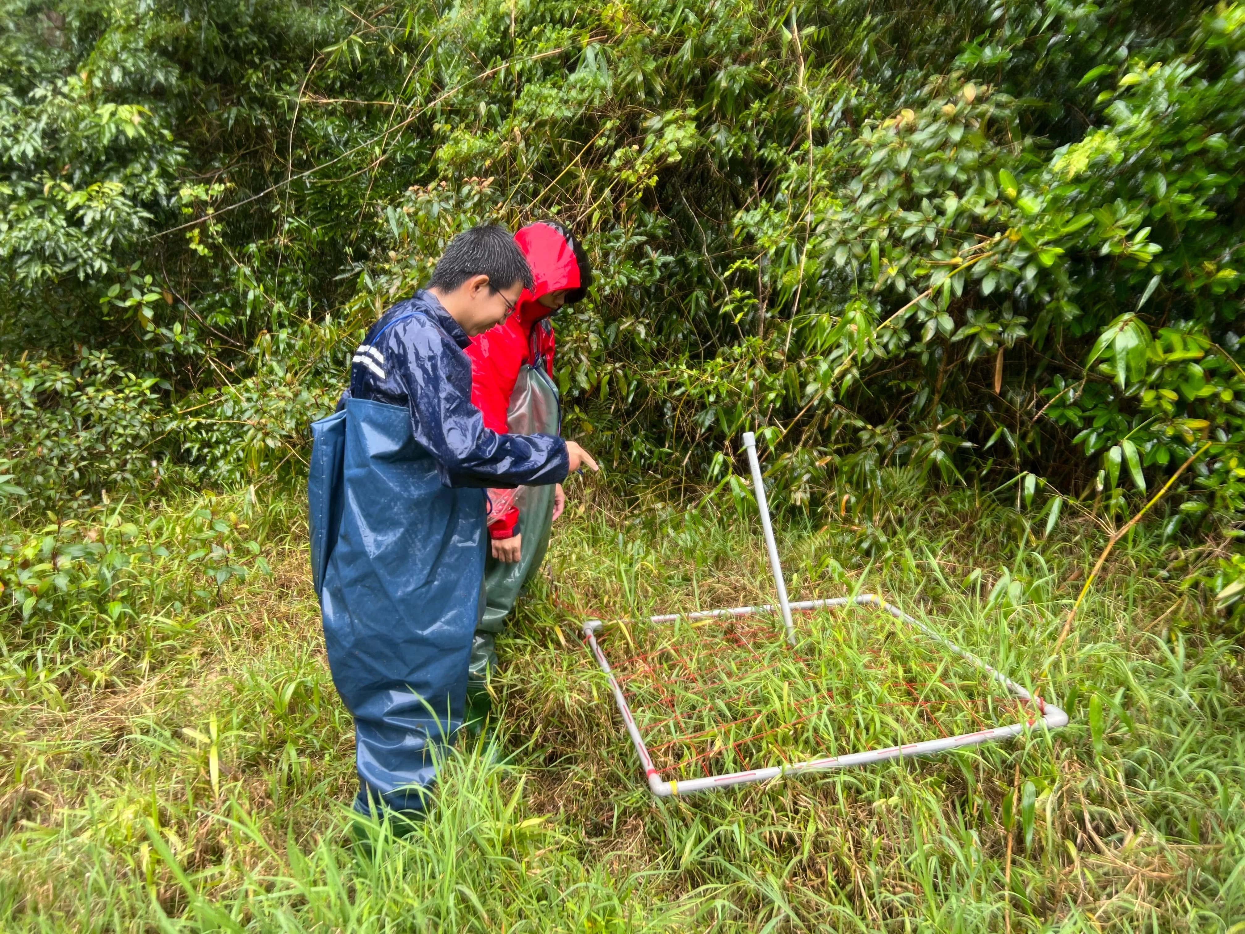 南仁湖濕地植物調查