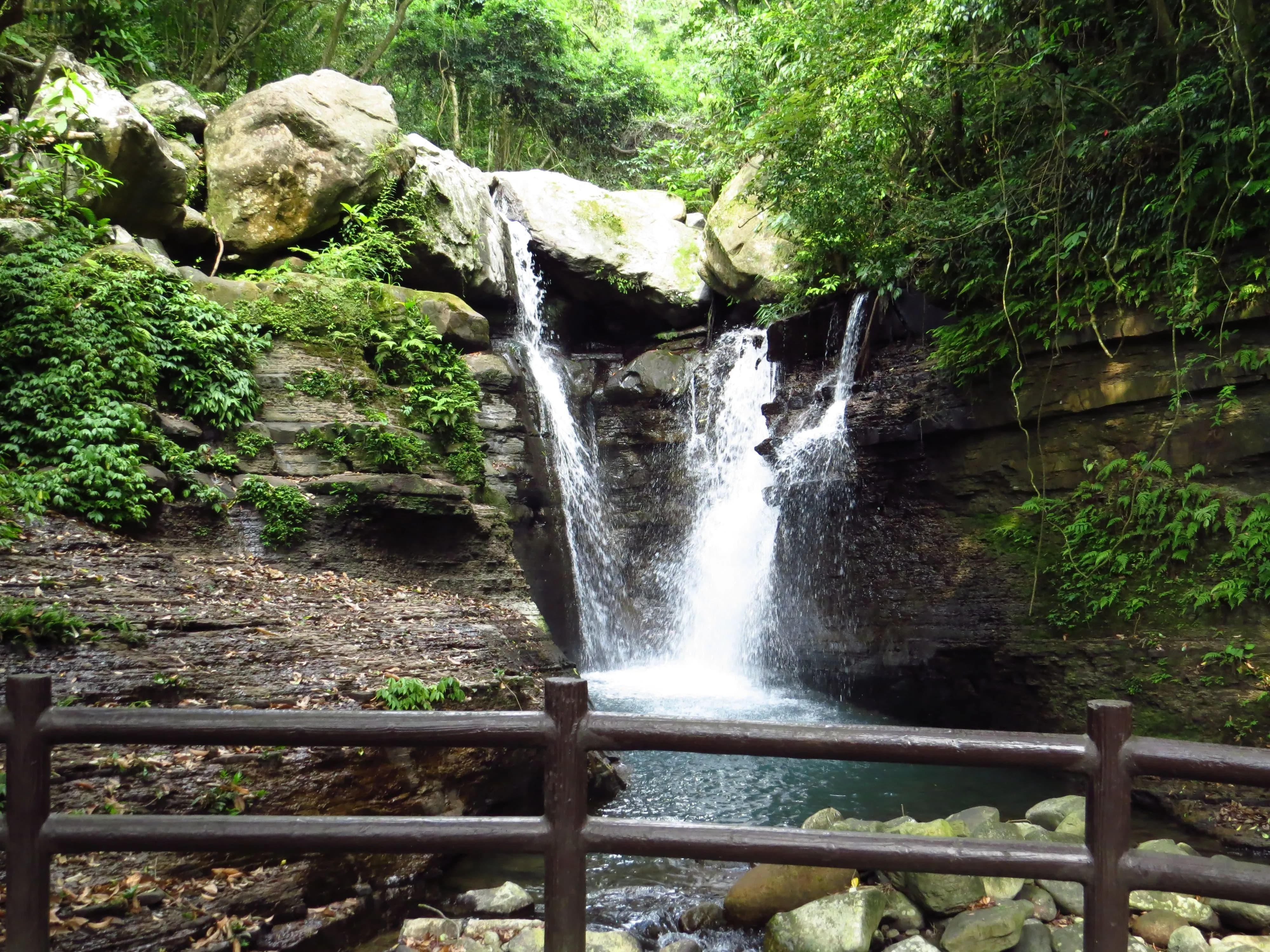綠意盎然生態多樣又豐富的天溪園