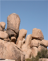 如棒槌的巨岩 alt-約書亞樹國家公園-2