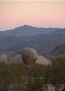 在夕陽裡目送無限回味的約書亞樹公園 alt-約書亞樹國家公園-7