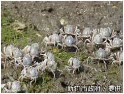 alt-香山重要濕地(國家級)-1