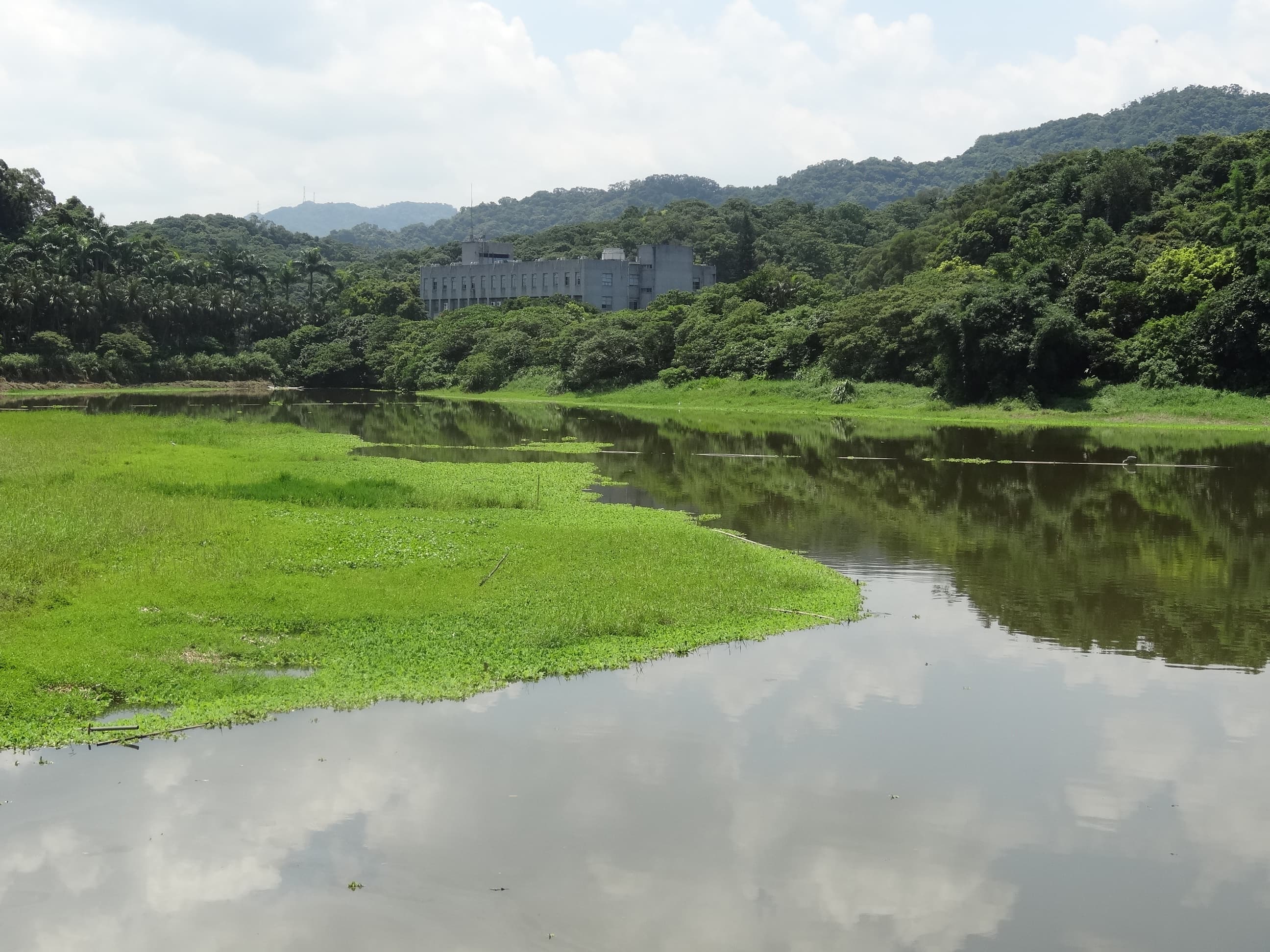 alt-南港202兵工廠及周邊重要濕地(地方級)-1