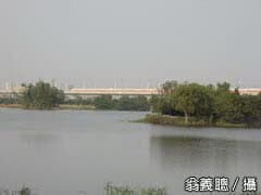 alt-嘉南埤圳重要濕地(國家級)-1