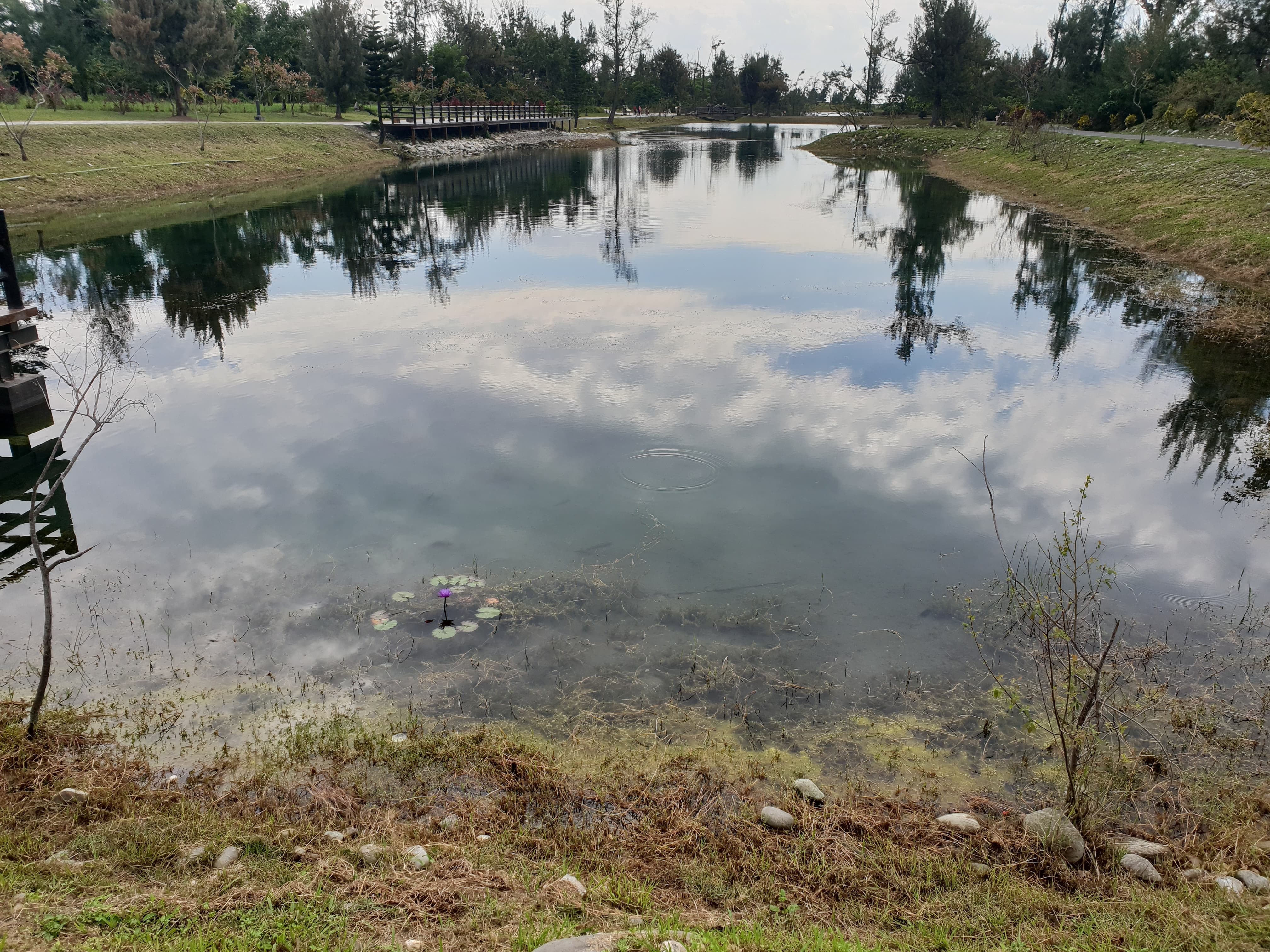 alt-卑南溪口重要濕地(國家級)-1