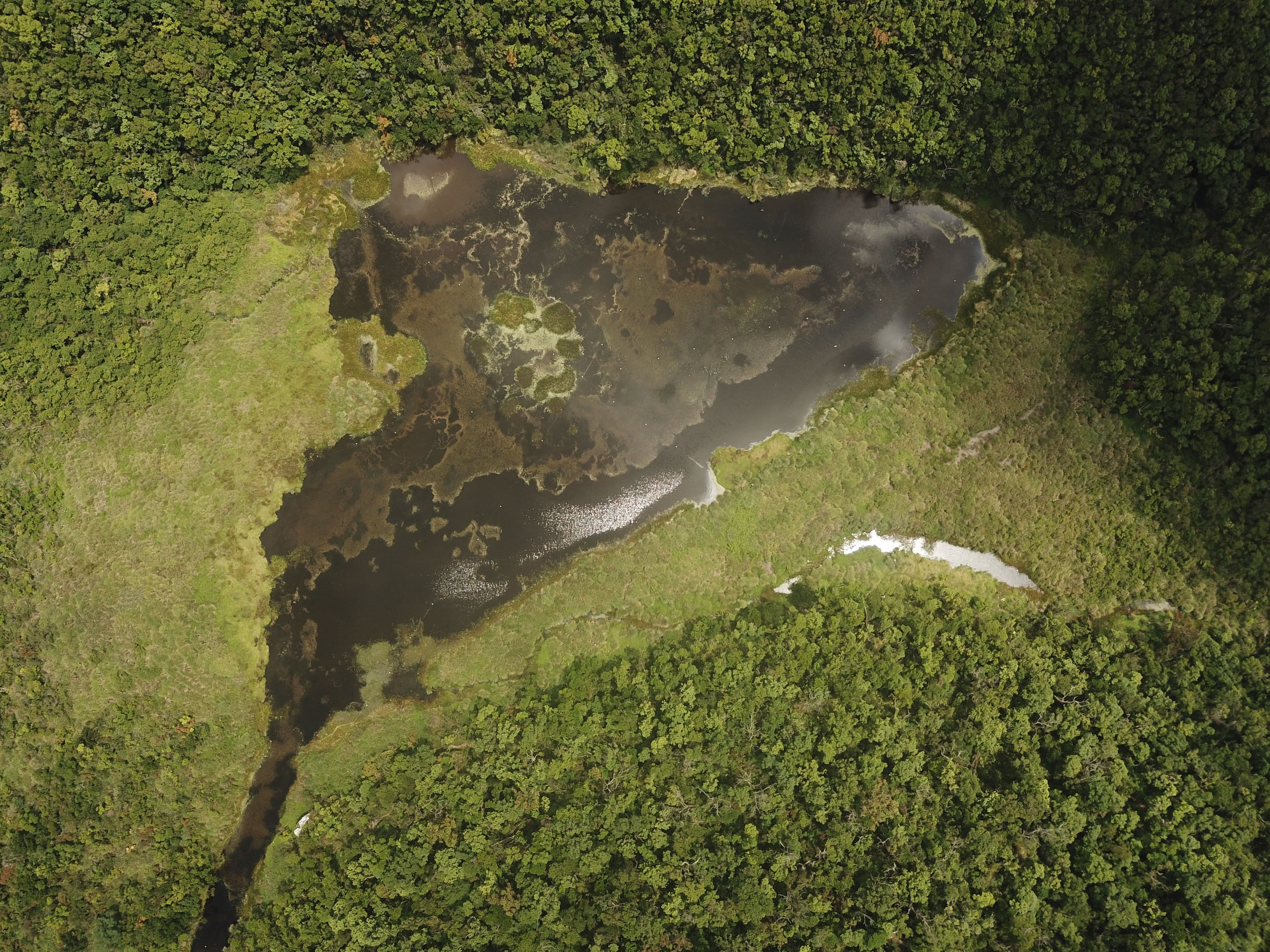 alt-南澳重要濕地(國家級)-1