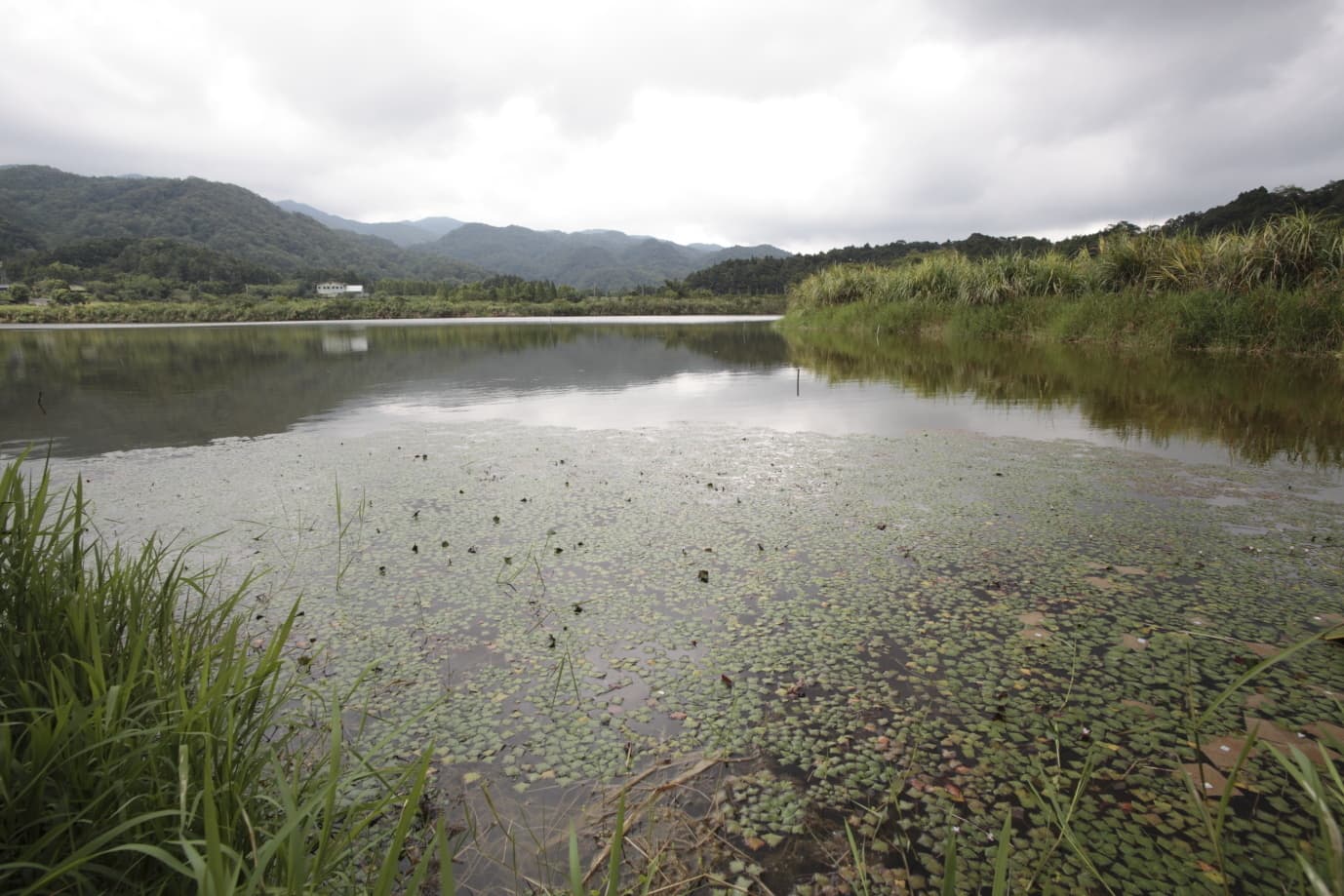 alt-雙連埤重要濕地(國家級)-1