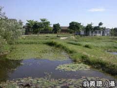 alt-官田重要濕地(國家級)-1