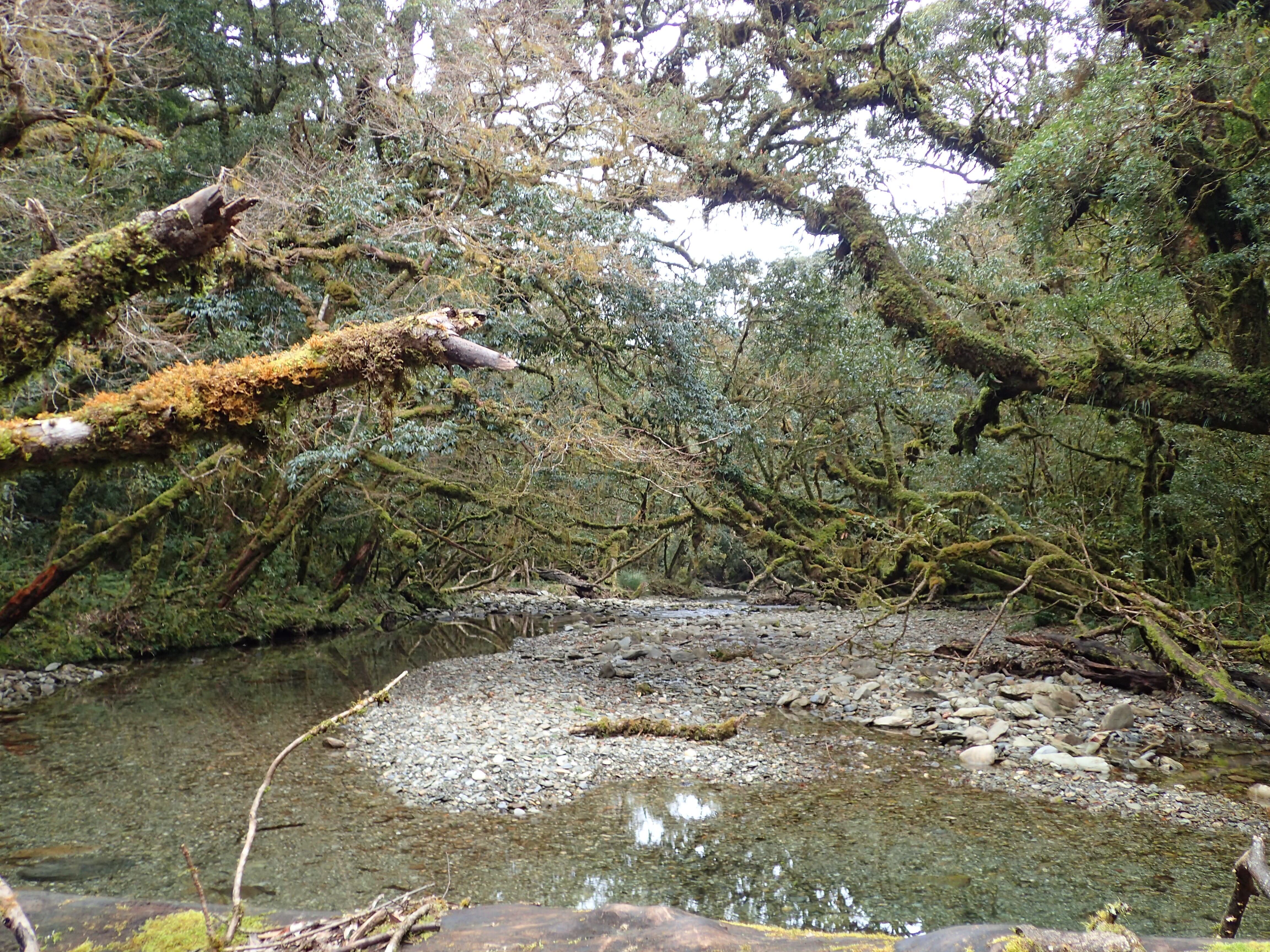 alt-小鬼湖重要濕地(國家級)-1