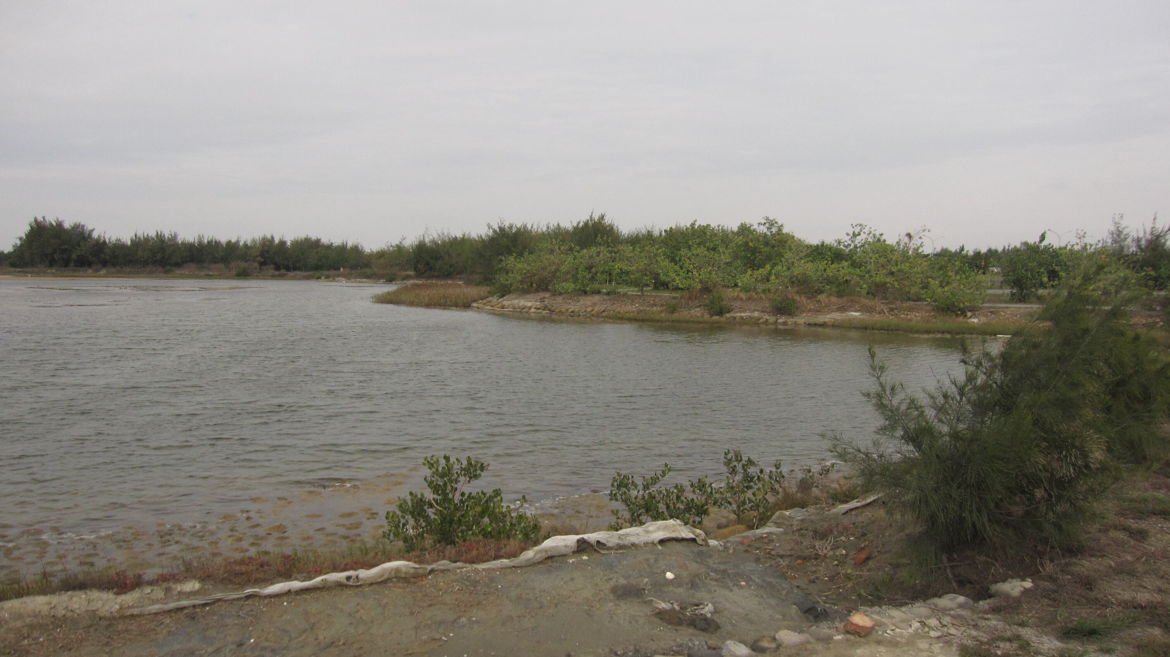 alt-布袋鹽田重要濕地(國家級)-1