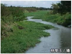 alt-無尾港重要濕地(國家級)-1