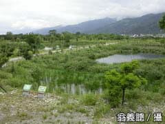 alt-關山人工重要濕地(地方級)-1