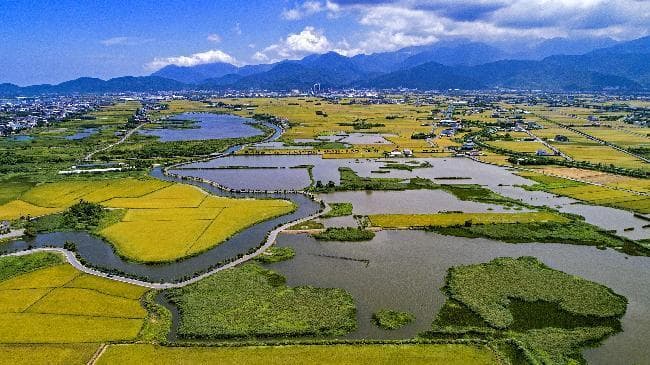 alt-五十二甲重要濕地(國家級)_comp