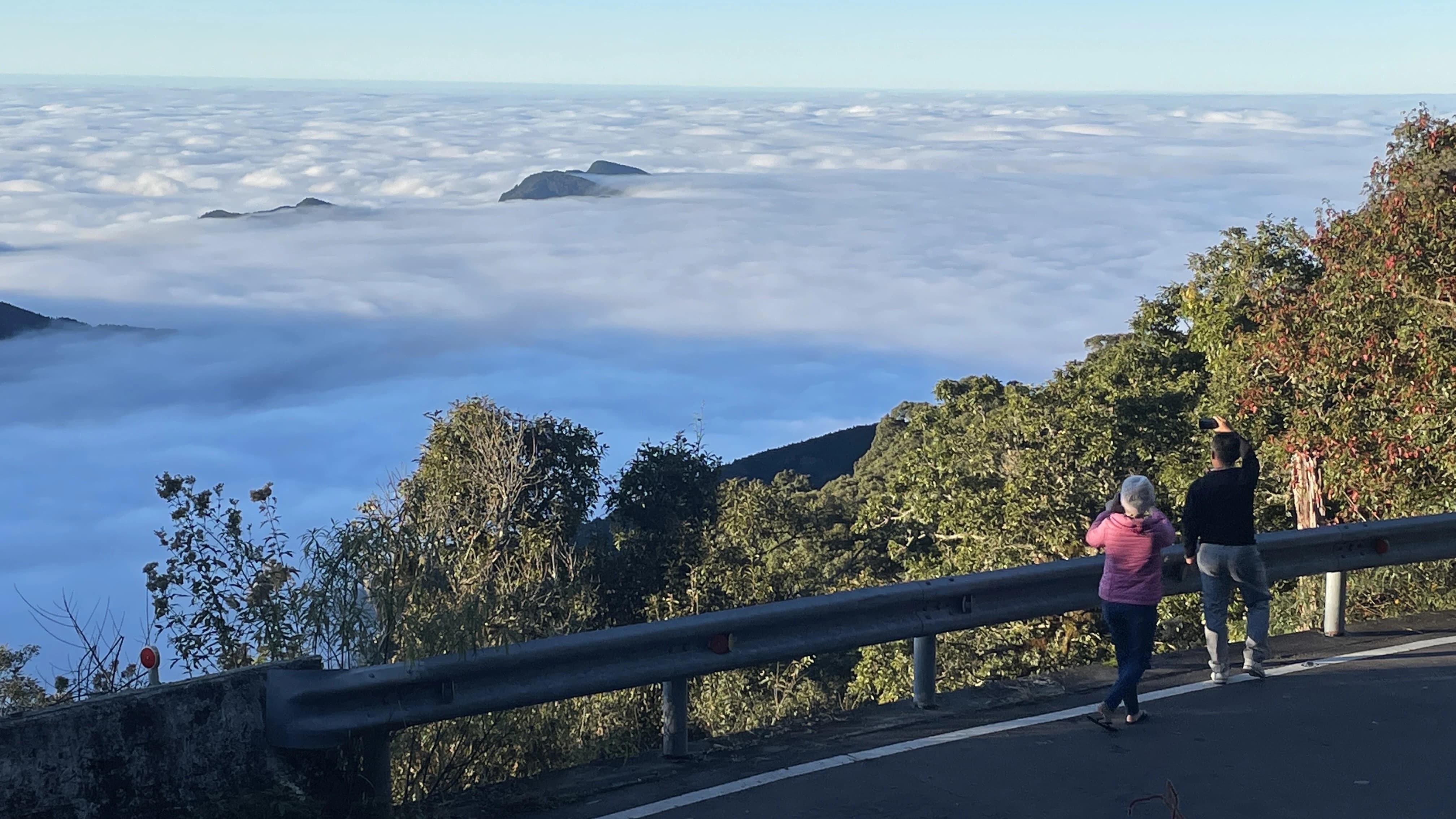 觀霧秋冬季節雲海