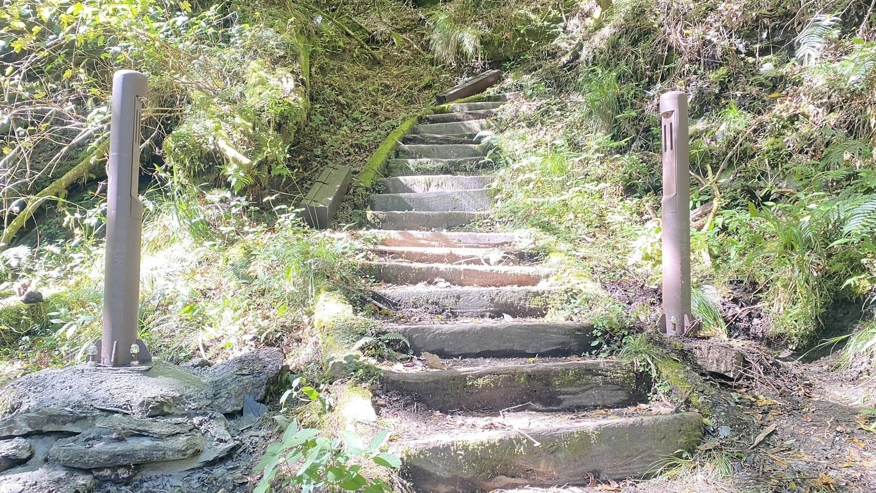 庫哈諾辛山登山口設置完成「雙向人員流量計數器」現況-玉管處提供