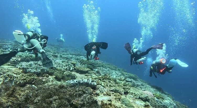 04水下作業人員配合潛伴進行作業，清除東沙棘冠海星