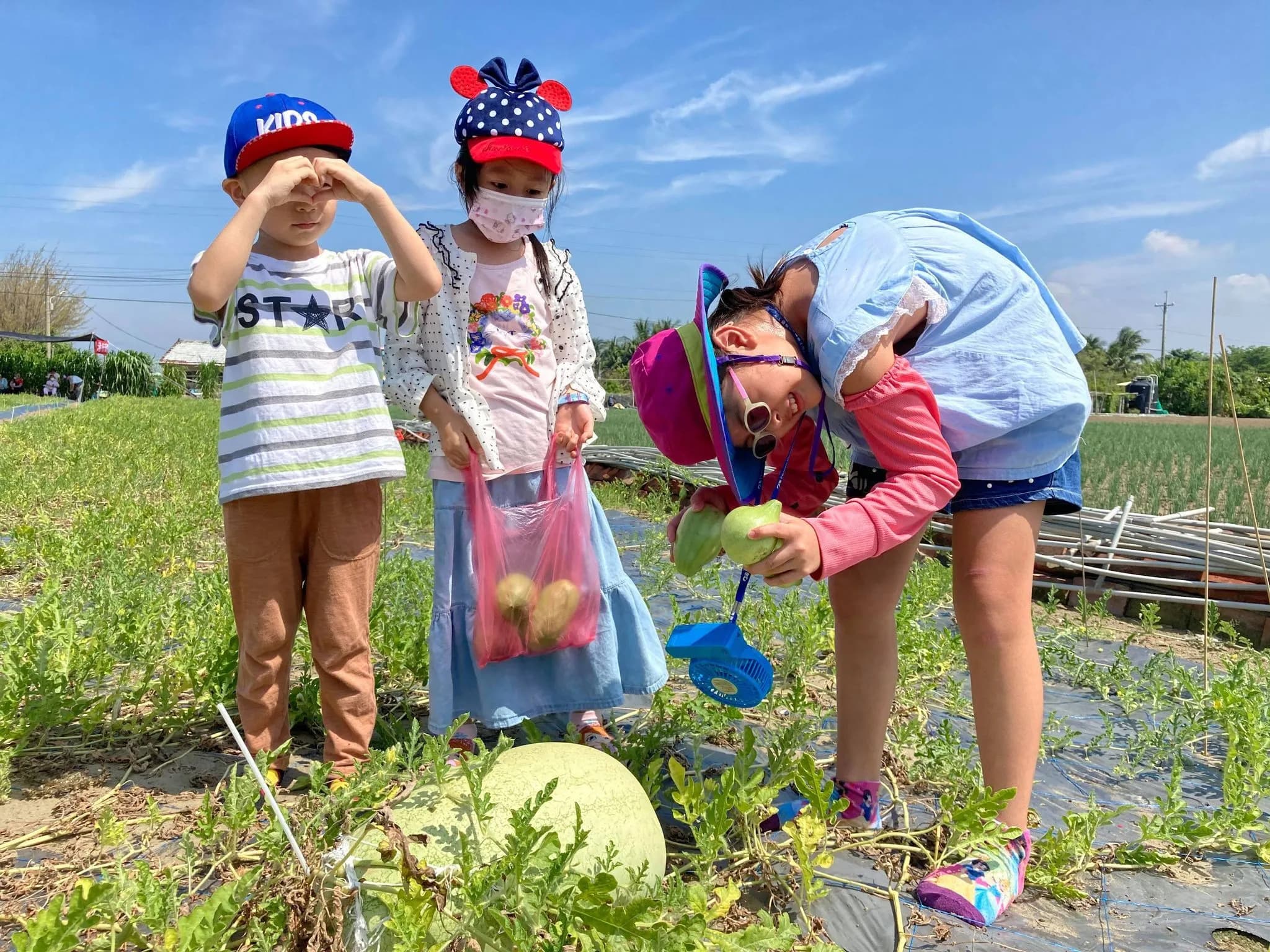 到西瓜田認識西瓜的生長環境與歷程