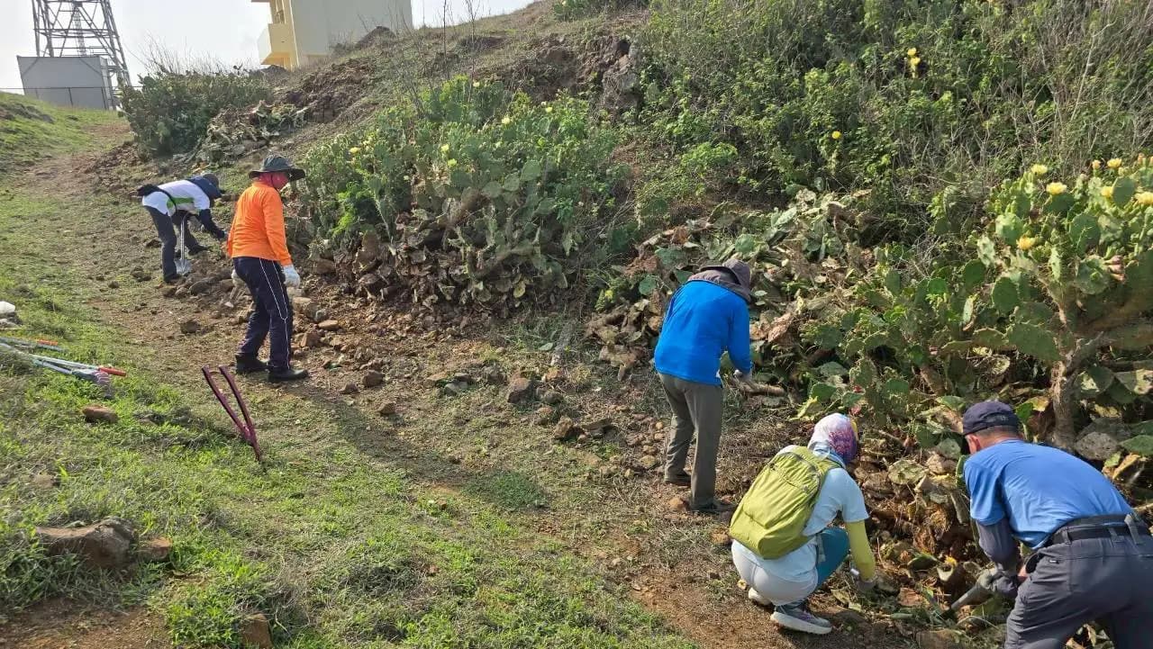眾人同心清理蔓生到步道的雜草與仙人掌，讓步道路徑更為清晰。