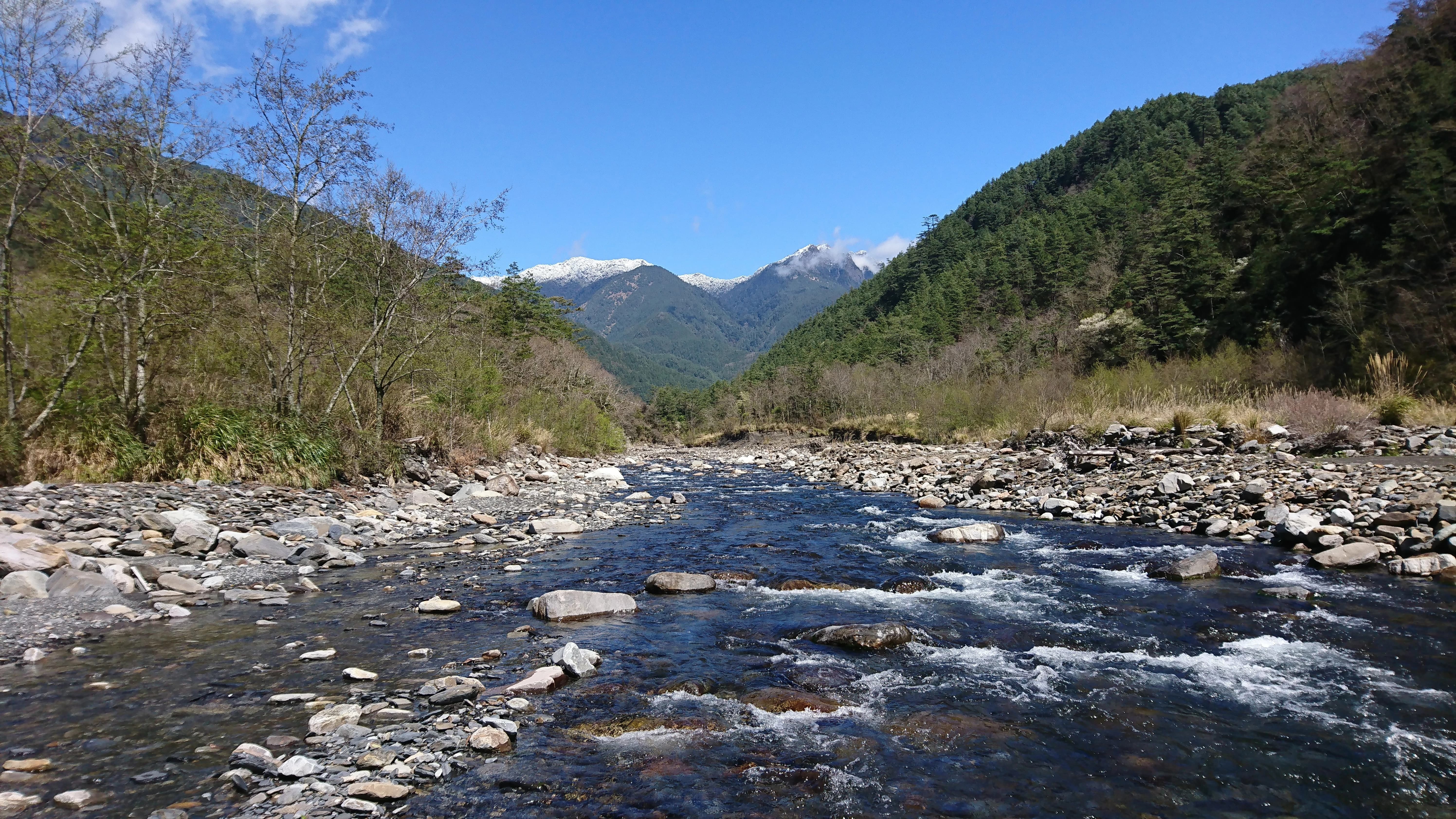 研究長期生態調查樣區-武陵七家灣溪