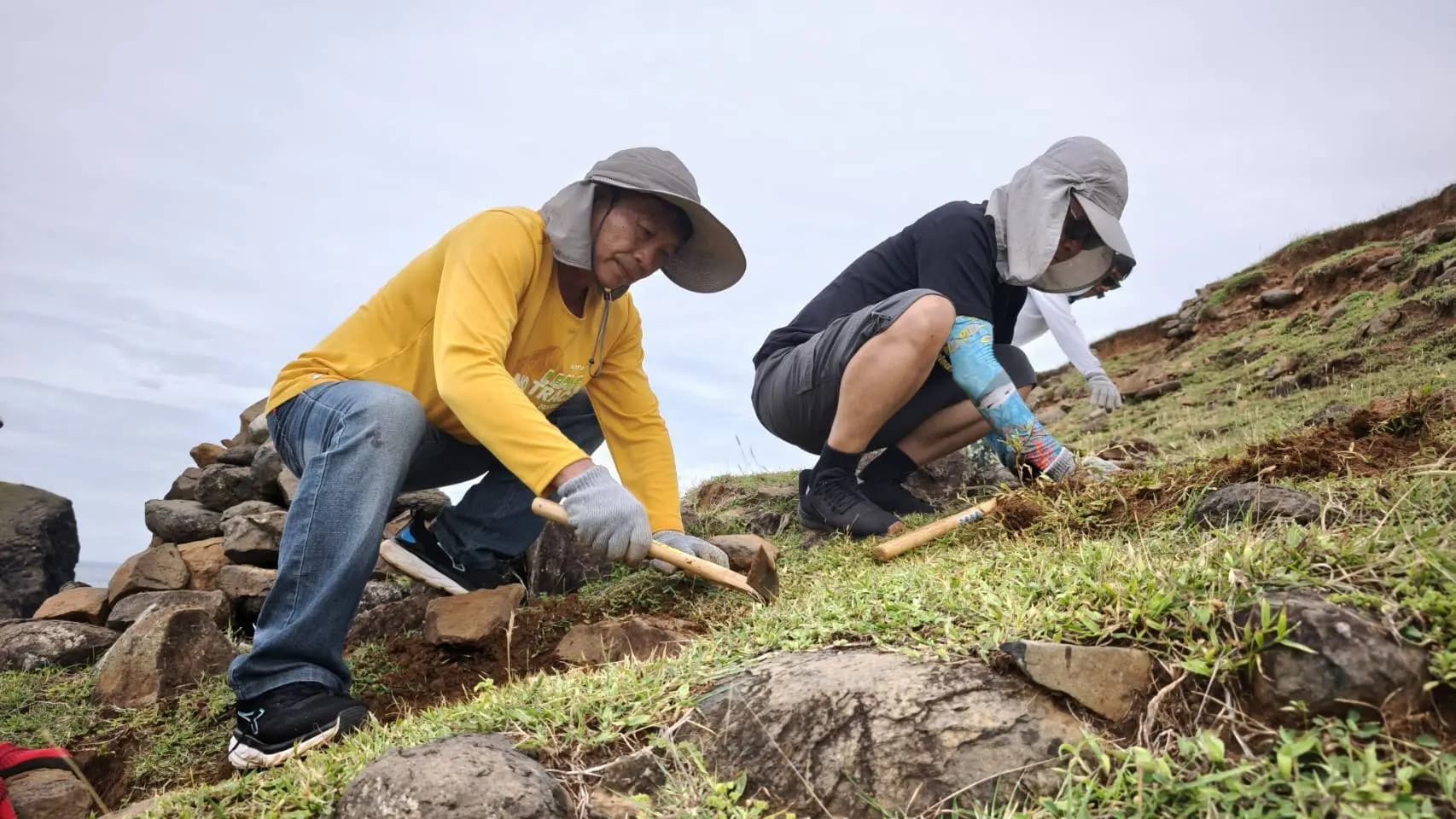 Land and Sea Dual Protection Advances to Dongyuping! Marine National Park Headquarters Cross-Sector Partnership with Special Forces Volunteers and Tea