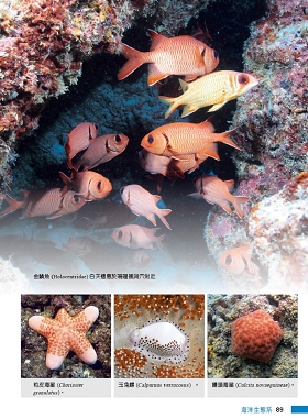 Oasis on the Sea—Dongsha Marine Chapter Oasis on the Sea—Dongsha Marine Chapter