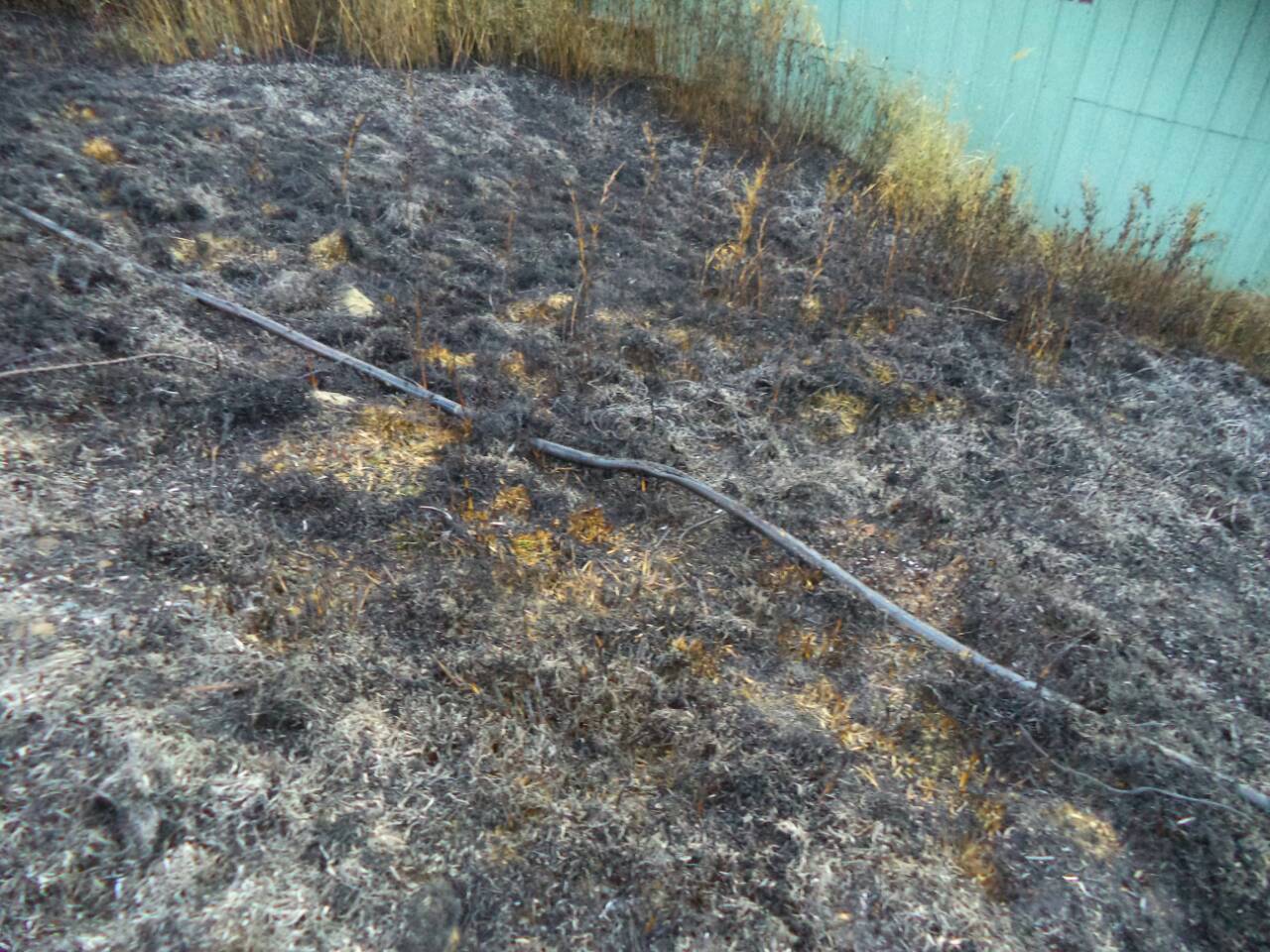 alt-雪山線369山莊、七卡山莊開放入園住宿時間-1