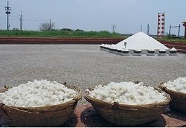 一簍一簍雪白的鹽