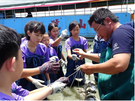 資深蚵農化身課堂講師