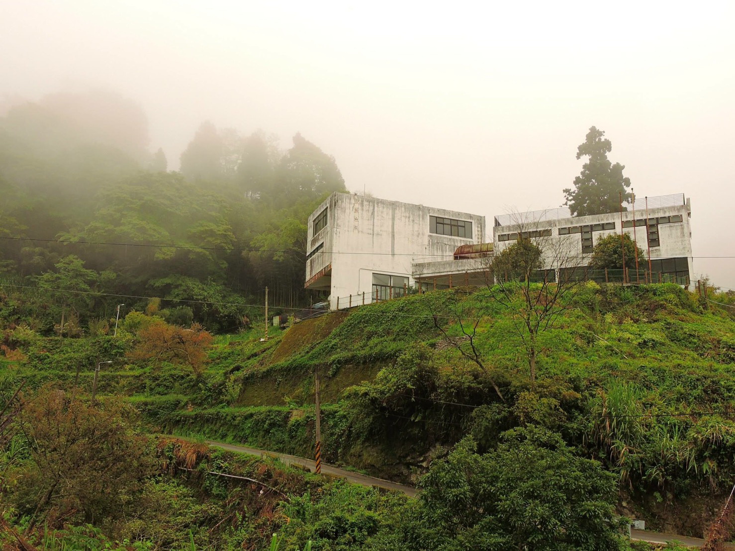 alt-「洛韶賞花慢活體驗活動」 第2梯次尚有名額歡迎報名-1