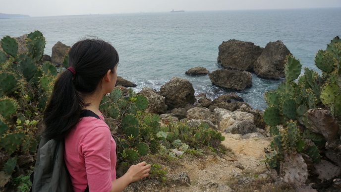 上山下海探訪西海岸美景