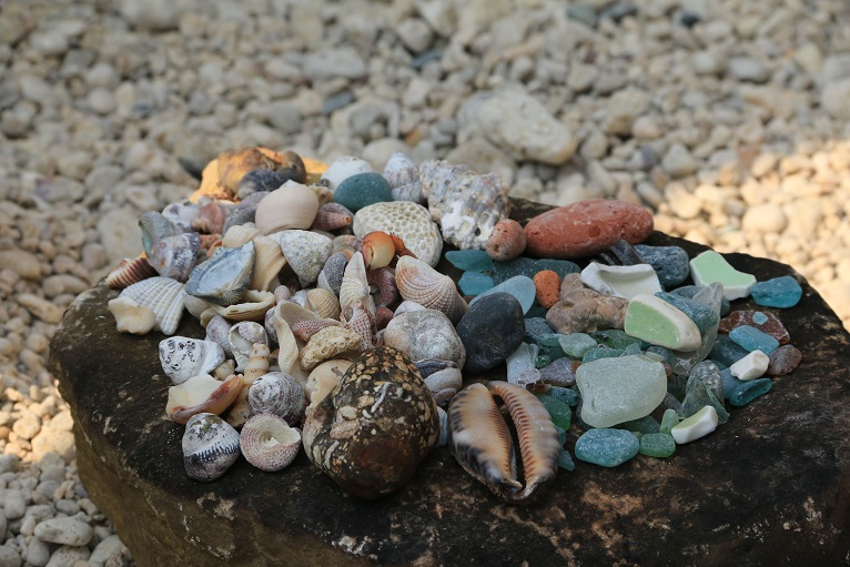 發現海岸的各種寶石