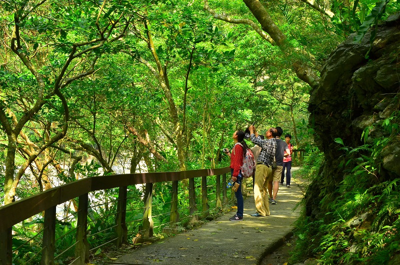 alt-A Visual and Audio Feast in Nature - the Beauty of Rocks and Water Along Shakadang Trail-2