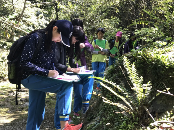 步道任務-學員分工合作探索生態