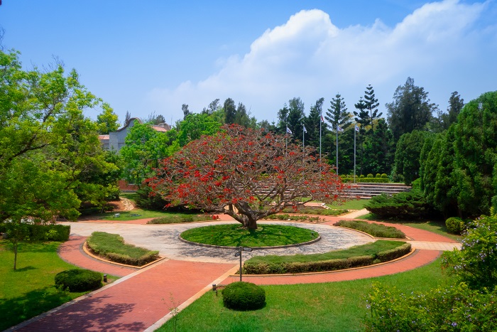 alt-金門國家公園行政中心前刺桐盛開  嫣紅豔麗-1