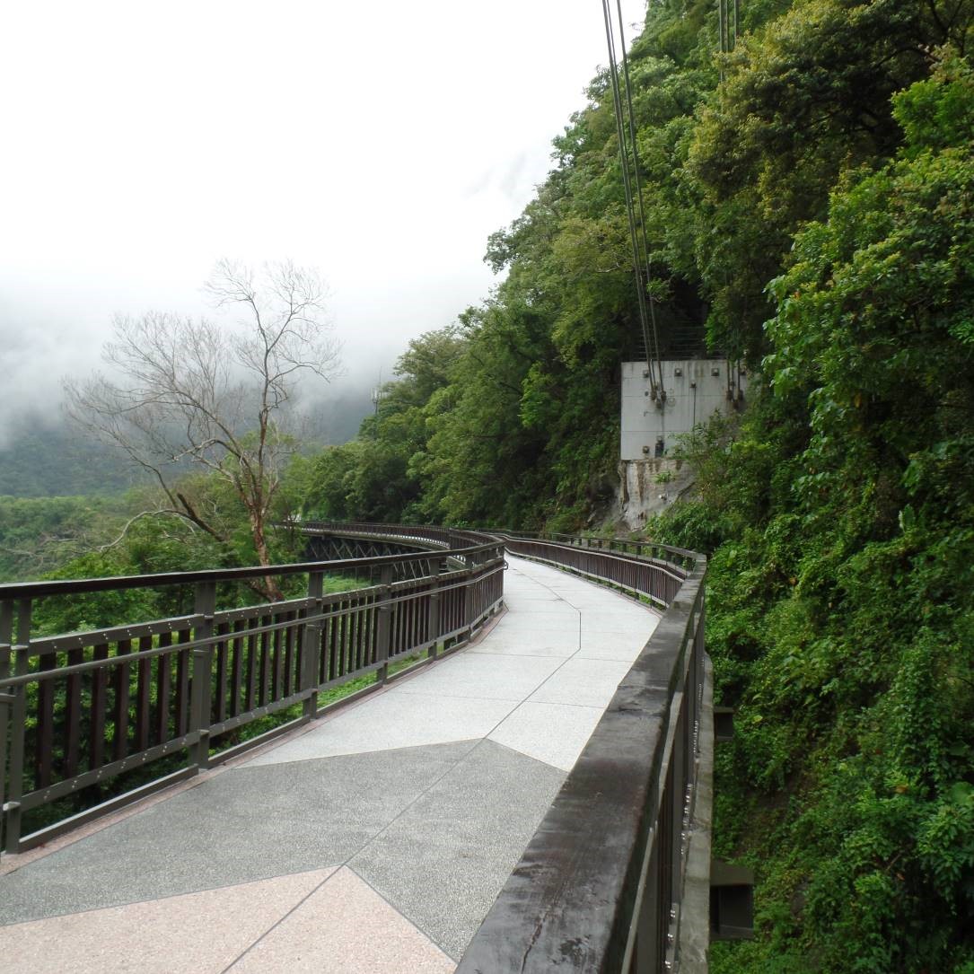 alt-採高架棧道減少對環境擾動工務組提供