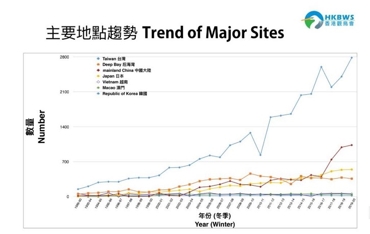 alt-全球黑面琵鷺數量創新高，保育成果逐步扎根落實-1