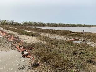 alt-「七股鹽田濕地水文生態環境永續管理計畫」 年度成果發表會-1
