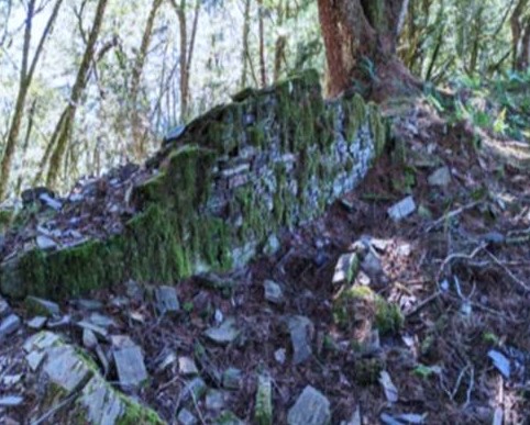 alt-Saving Tarunas Police Post—A Record of Bunun Cultural Legacy along the Batongguan Traversing Trail(一)-2