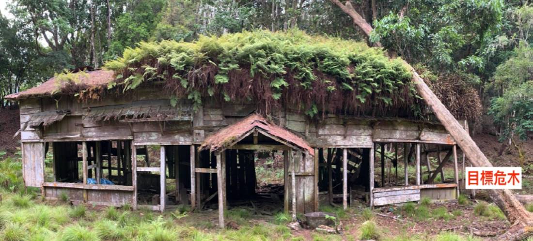 alt-Saving Tarunas Police Post—A Record of Bunun Cultural Legacy along the Batongguan Traversing Trail(一)-1