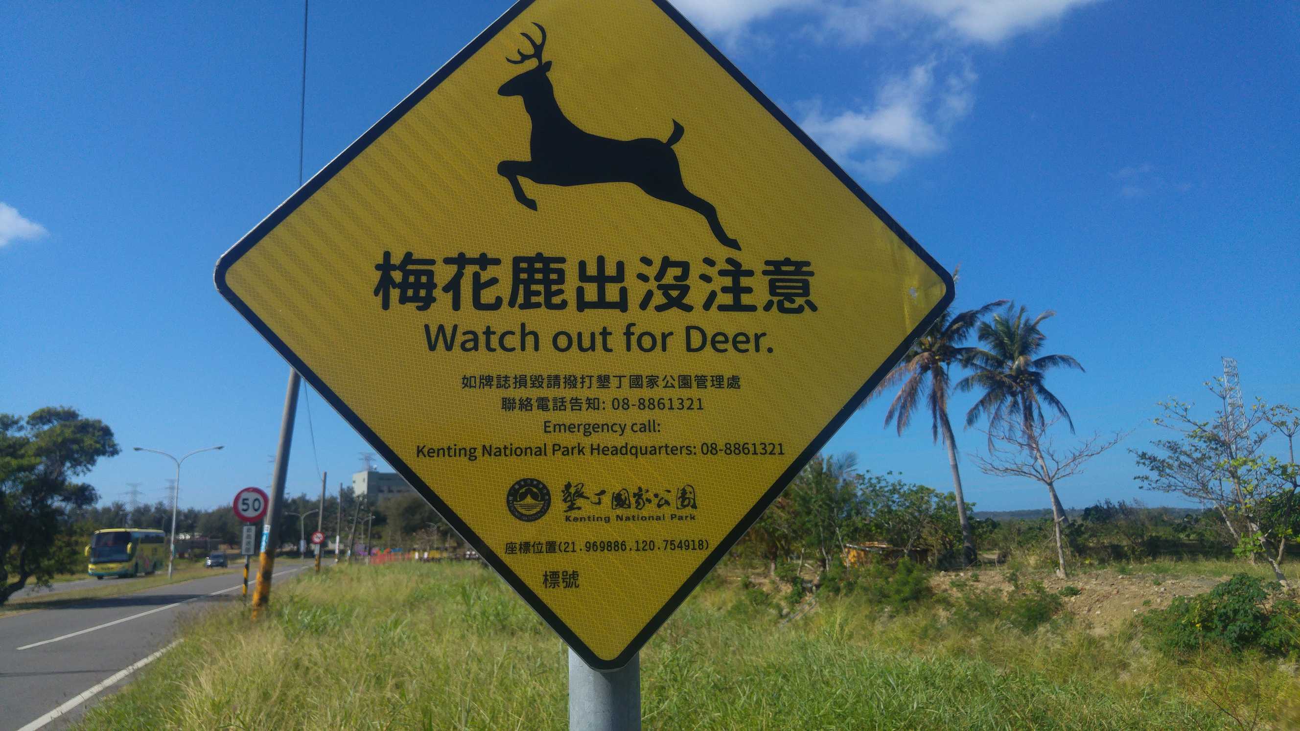 alt-鹿出沒警示牌再增設，墾管處籲民眾減速慢行-2