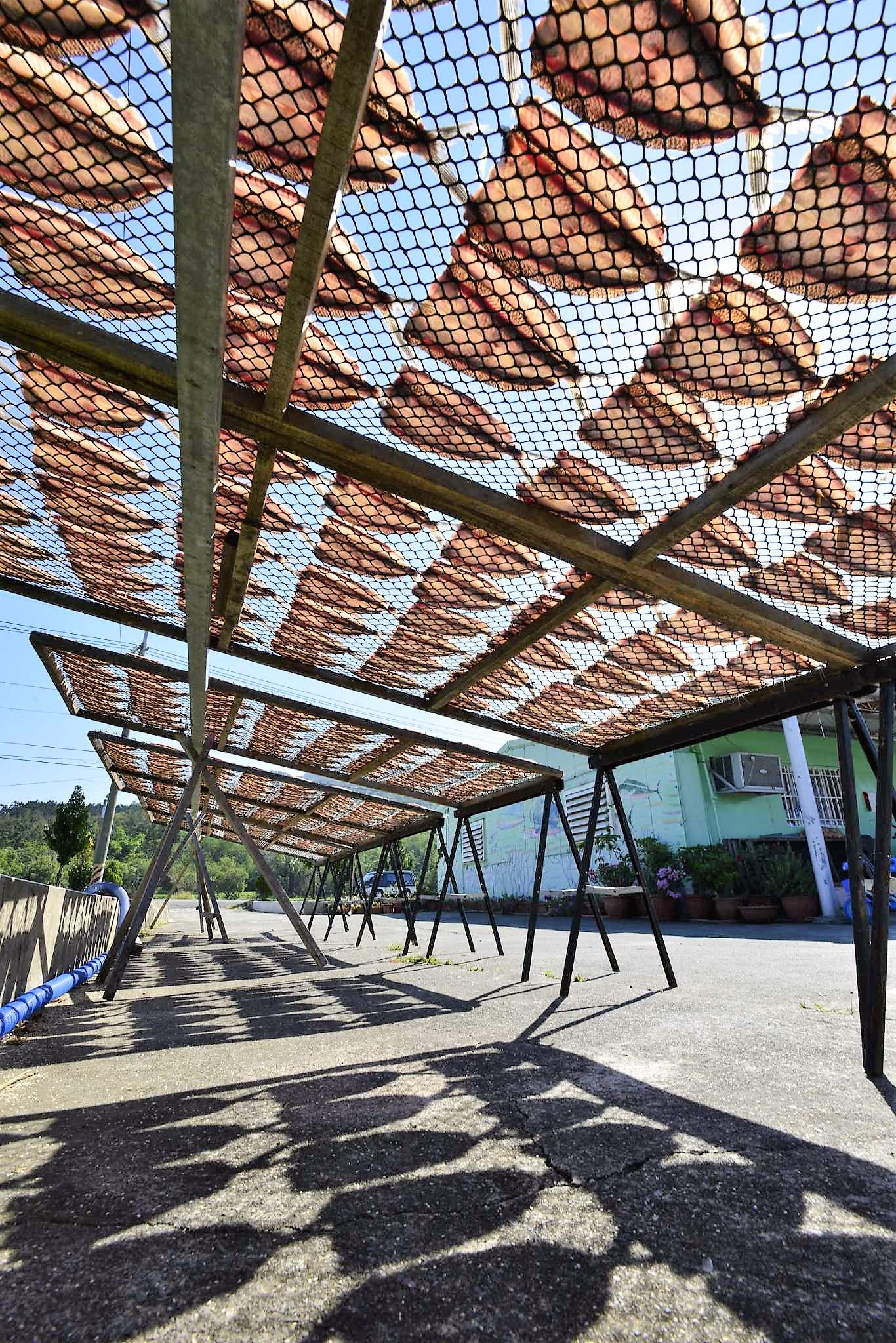 alt-『飛魚時節相約@墾丁』-2