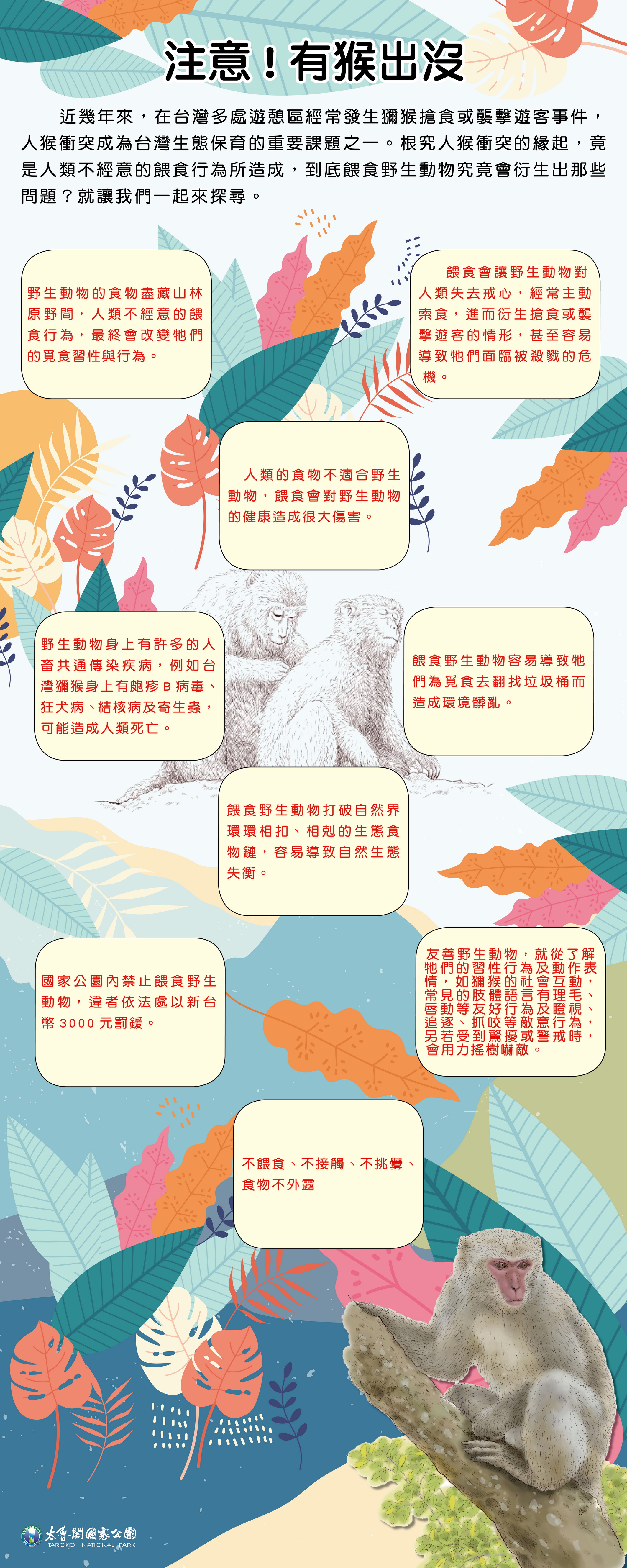alt-避免人猴衝突 太管處呼籲—請勿餵食獼猴，食物不外露-1