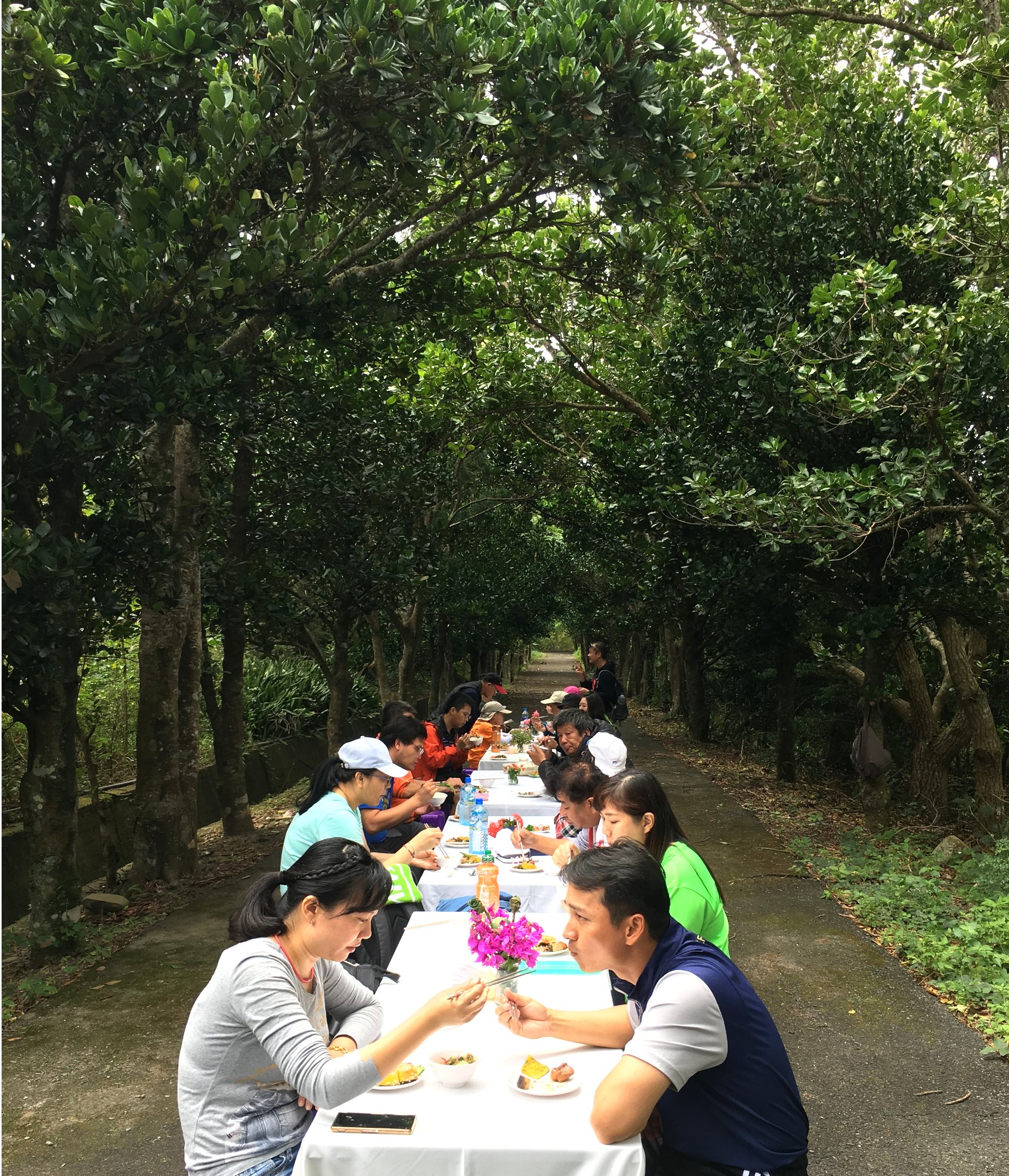 alt-樹葉變香皂 真的假的？-2