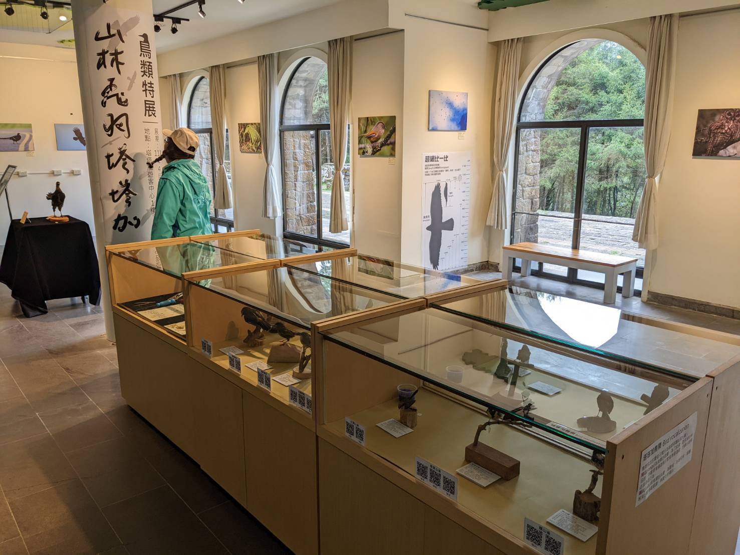 alt-見聞山林飛羽—塔塔加遊客中心鳥類特展饗宴登場-1