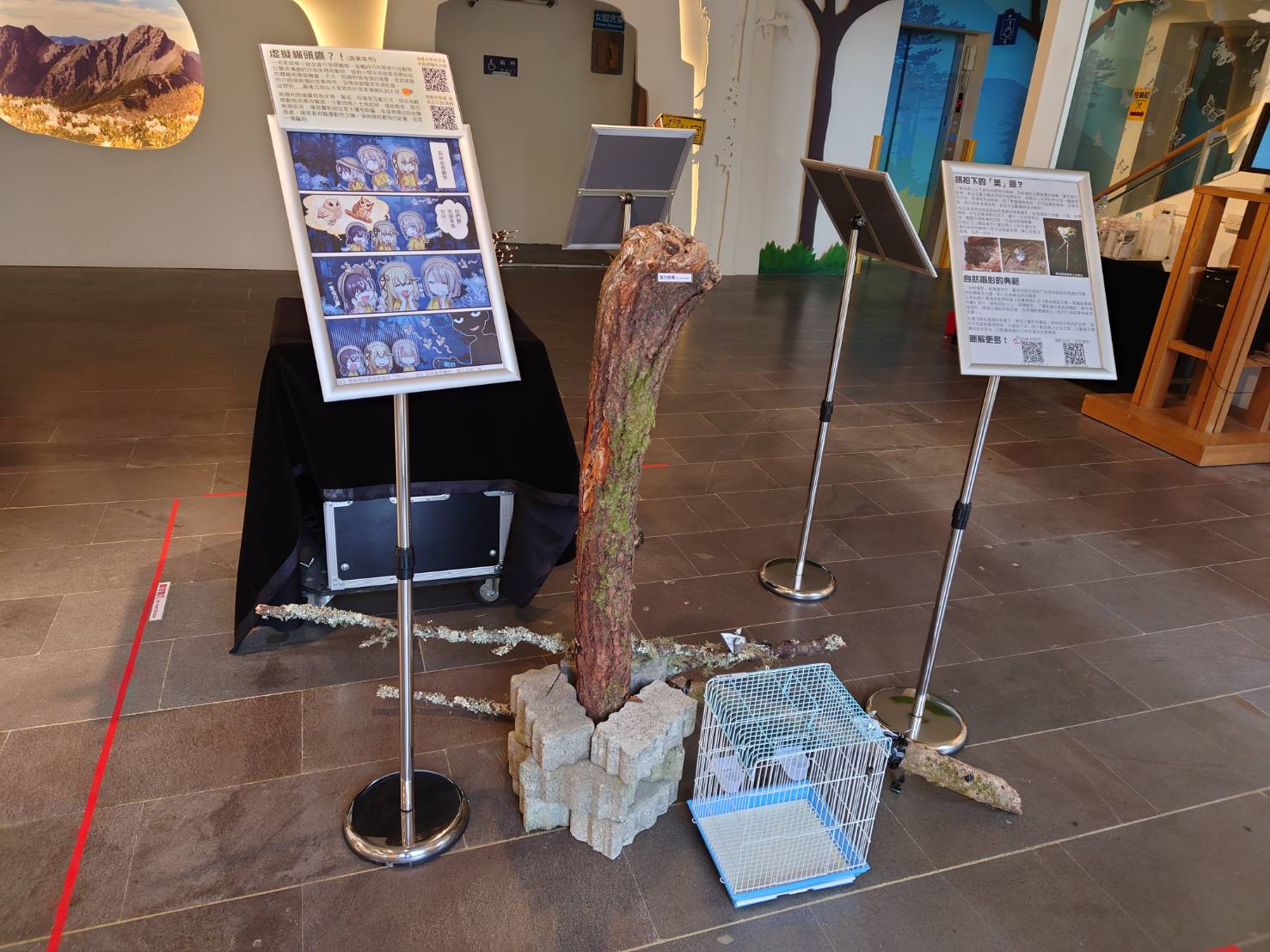 alt-見聞山林飛羽—塔塔加遊客中心鳥類特展饗宴登場-2