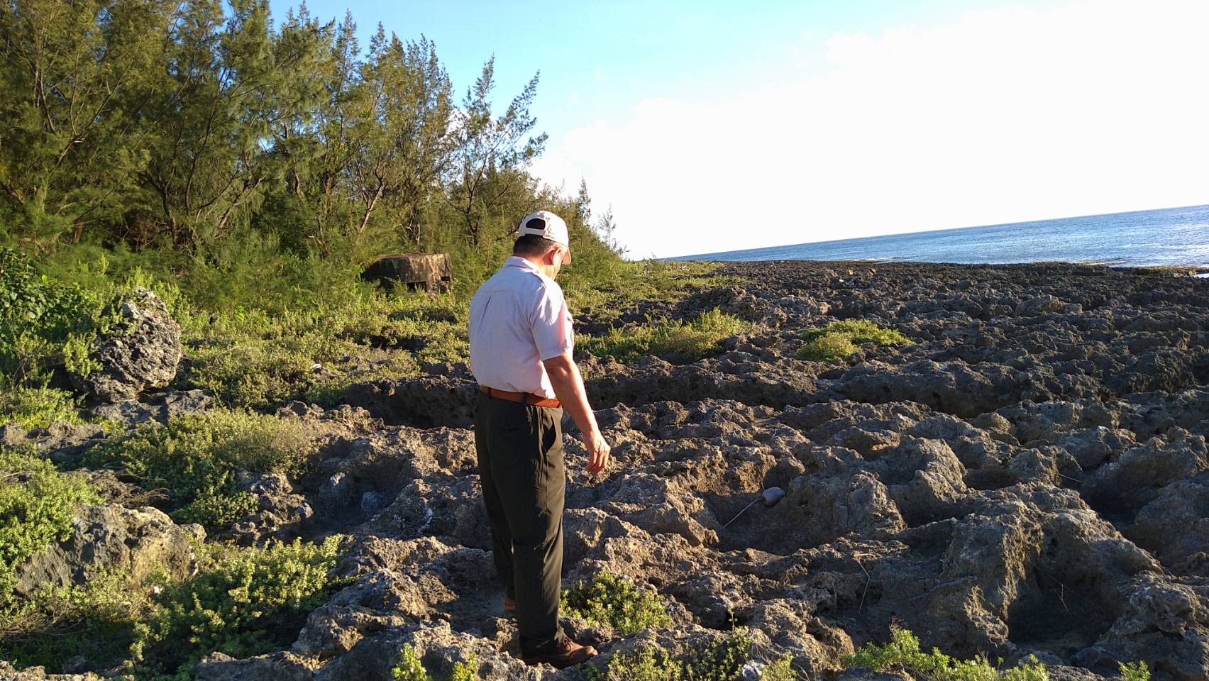 alt-墾丁水芫花被盜 墾管處將加強查緝-1