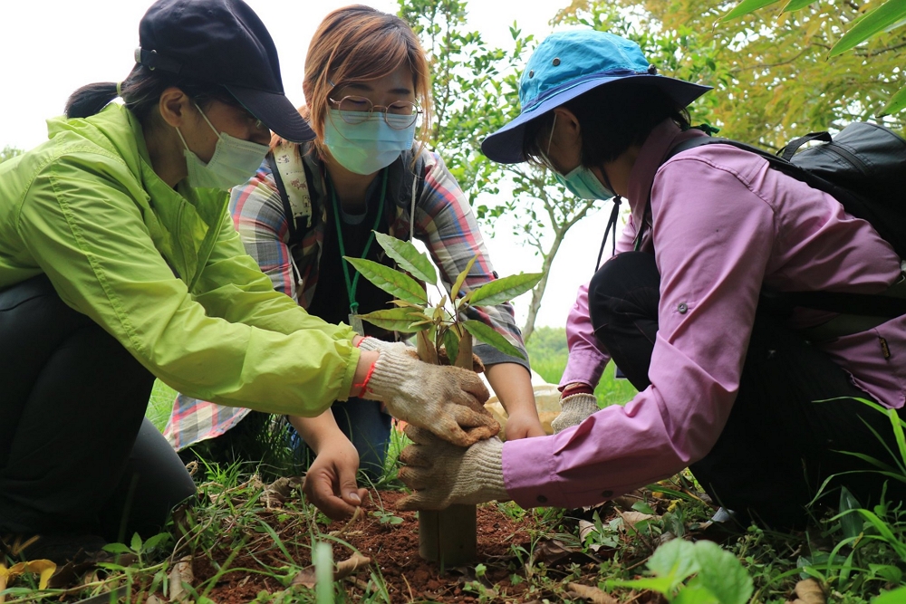alt-臺中都會公園2023年植樹復育天然林-1
