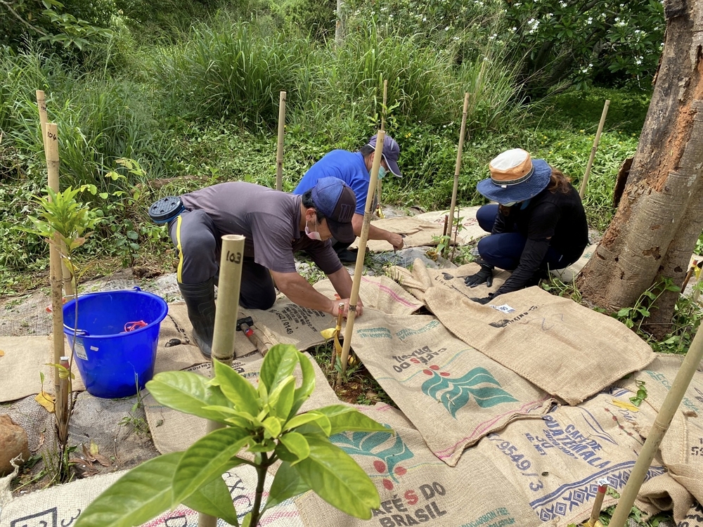 alt-臺中都會公園2023年植樹復育天然林-2