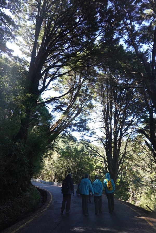 alt-營建署公告2處國家公園無障礙活動場所-5