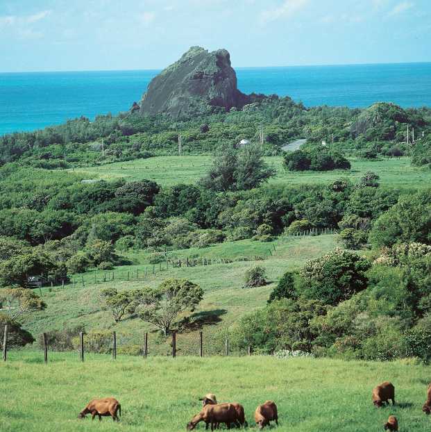 alt-墾丁地標大尖山原來是...-1