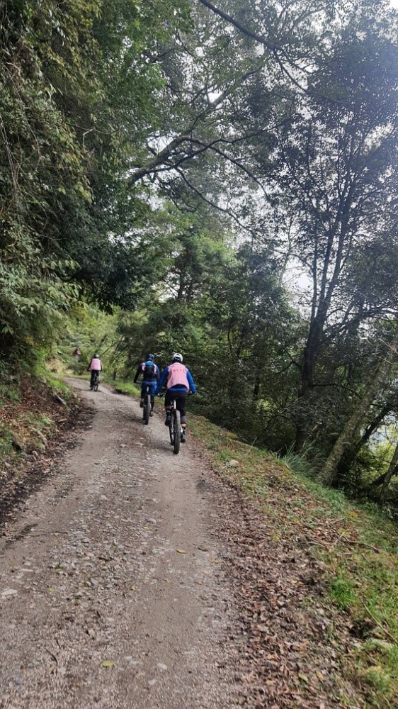 alt-觀霧大鹿林道東線車輛進出新規定  腳踏自行車、電動輔助自行車已可進入使用-1